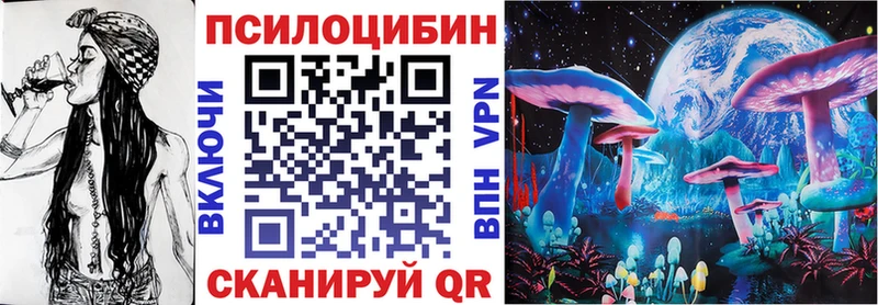 купить   Пушкино  Галлюциногенные грибы Cubensis 